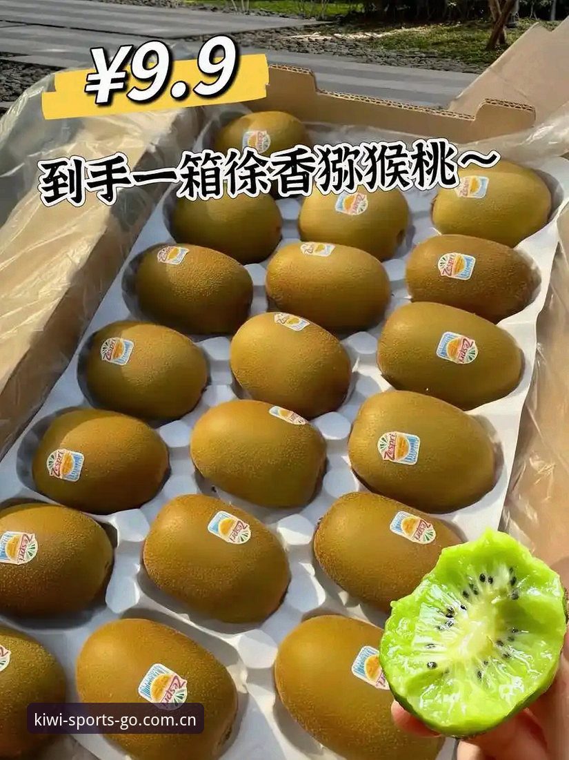 奇异果体育官方版功能详解与下载指南