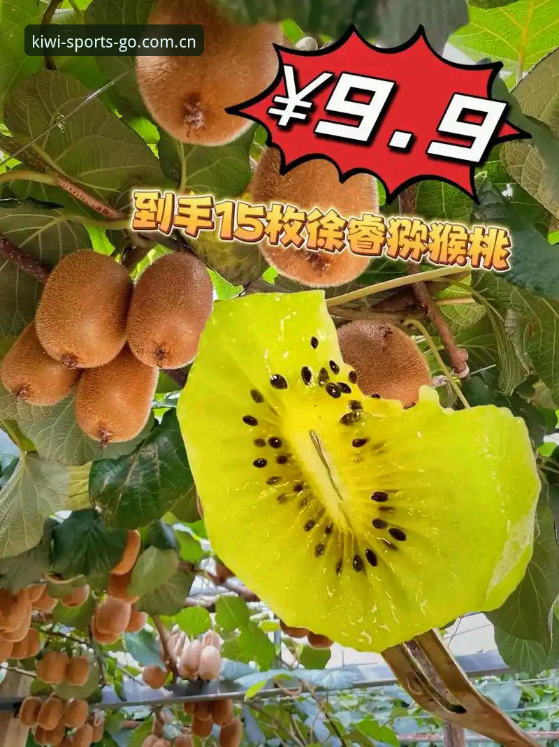 奇异果体育直播官方下载 奇异果体育直播官方下载详解:从版本更新到用户体验的全方位解析